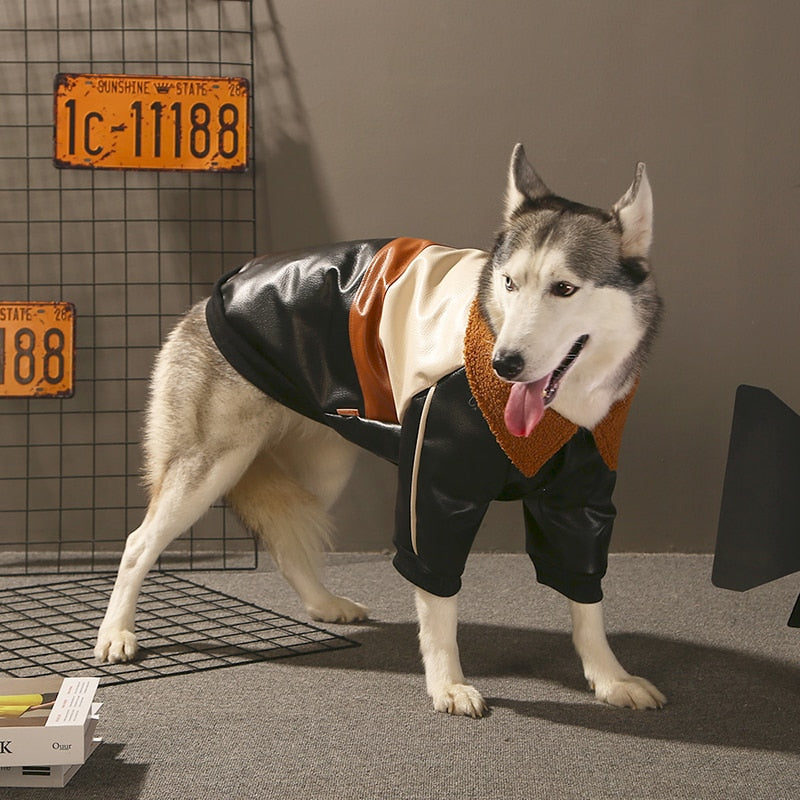 Faux leather jacket for large dogs. Luxury chic clothing for large dogs.