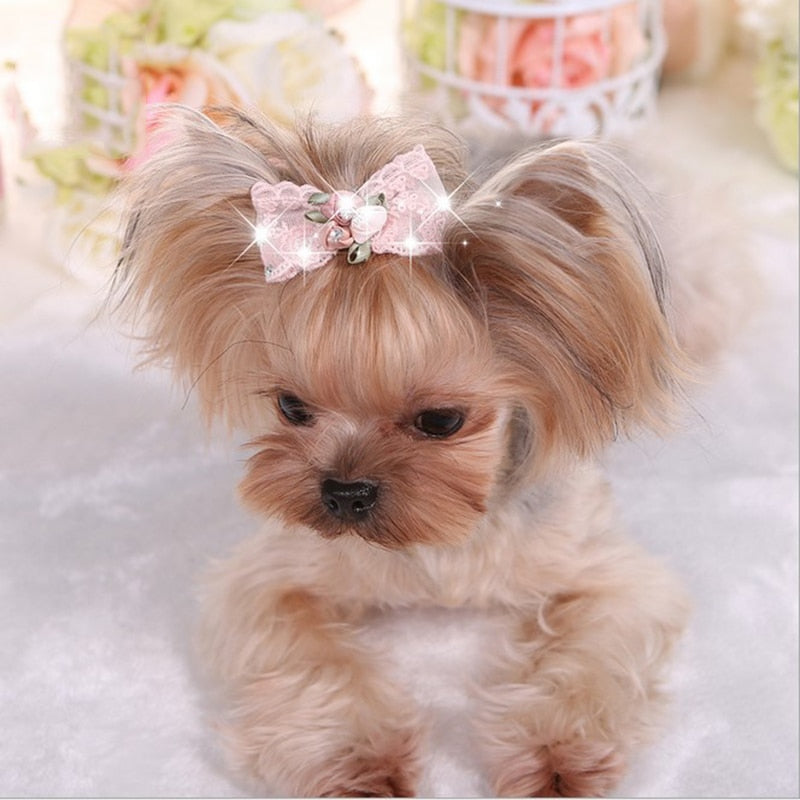 Lace hair bow with rhinestones and satin roses. Chic and luxury accessories and clothing for dogs, cats and pets.