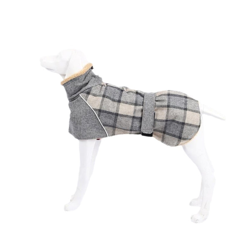 Plaid print dress for large dogs | Dandy's Store