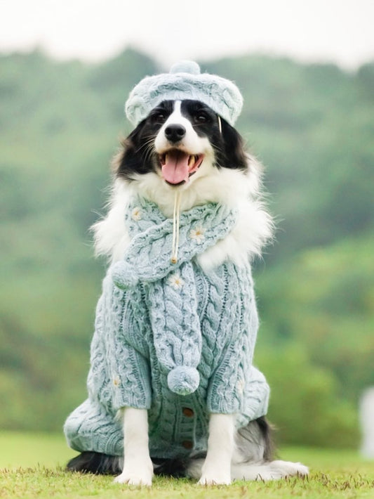 Daisy Vestito per cani di grandi dimensioni. Lavorato a mano ai ferri. Abbigliamento chic di lusso per il tuo Pet.