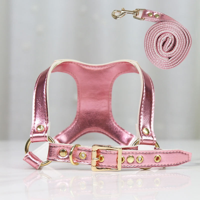 BASIC harness leash in metallic and matte leather. For dogs, cats and pets.