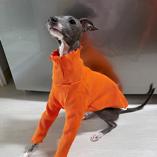 Solid color two-legged ribbed sweater for Greyhound. Luxury chic clothing for your pet.