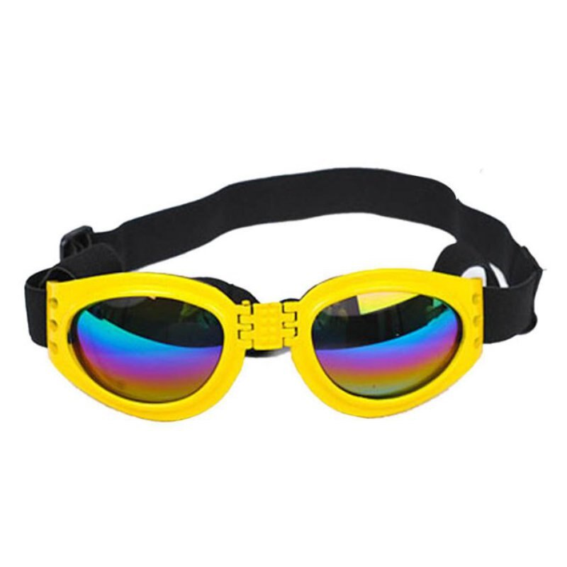 Foldable glasses ideal for riding a motorbike or bicycle. Luxury chic accessories and clothing for dogs, cats and pets.