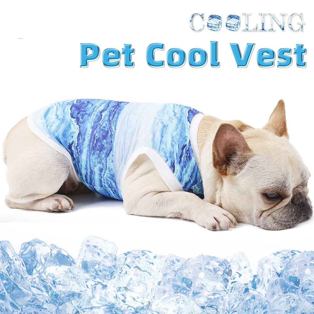 Previeni colpi di calore con la maglia per il raffreddamento corporale per il tuo Tesoro. Accessori e abbigliamento chic di lusso per cani, gatti e animali domestici.