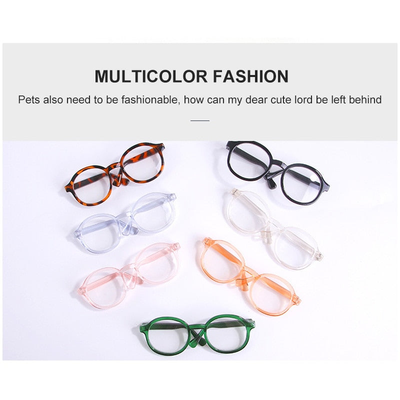 Elegant Transparent Plastic Glasses to look like an intellectual. Luxury chic accessories and clothing for dogs, cats and pets.