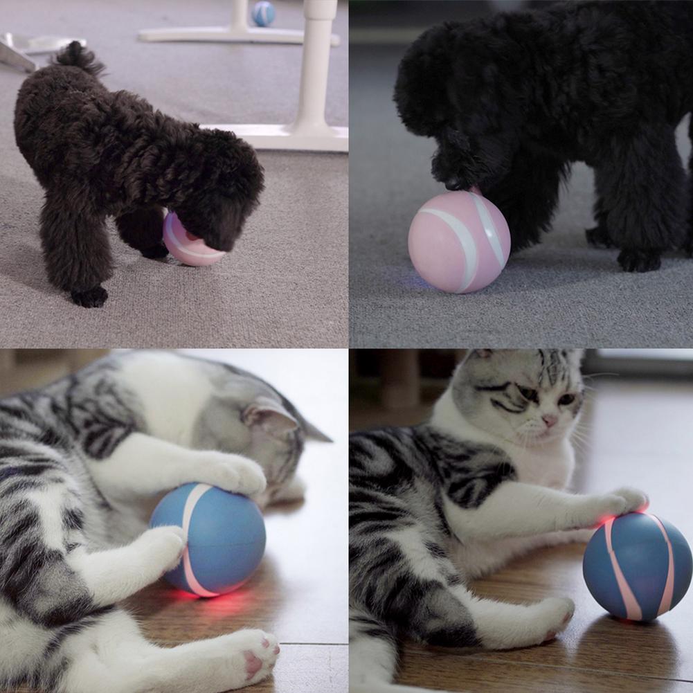 Il NUOVO gioco per il tuo Pet ! Palla interattiva con telecomando senza fili - Gioco interattivo adatto per cani gatti e animali domestici.