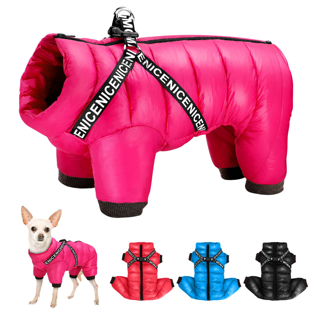 Super warm padded winter suit with harness. Luxury chic clothing for your pet.