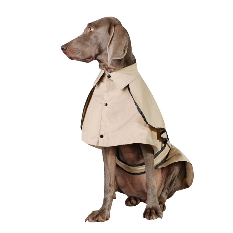 Dog windbreaker Autumn and winter elegant in British style. Luxury chic clothing for your pet.