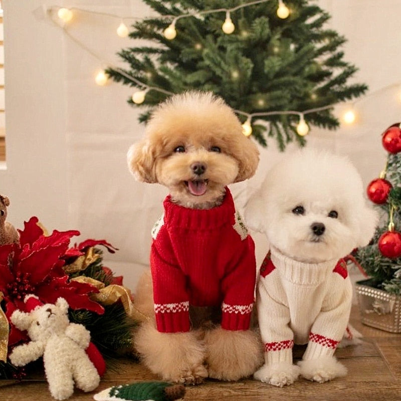 Maglione da montagna lavorato a maglia fantasia Natale. Abbigliamento chic per il tuo Pet.