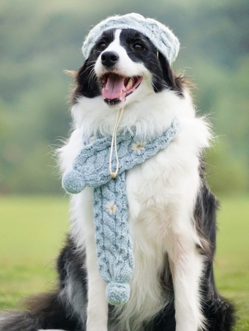 Daisy Vestito per cani di grandi dimensioni. Lavorato a mano ai ferri. Abbigliamento chic di lusso per il tuo Pet.