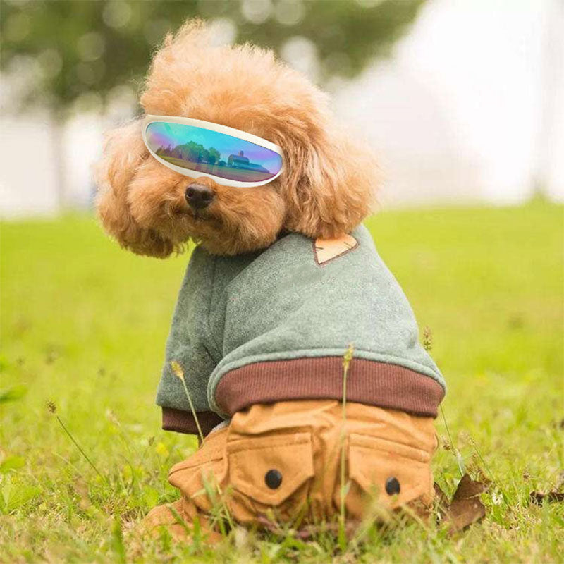 Mask model sunglasses for the most fashionable Pets. Luxury chic accessories and clothing for dogs, cats and pets.