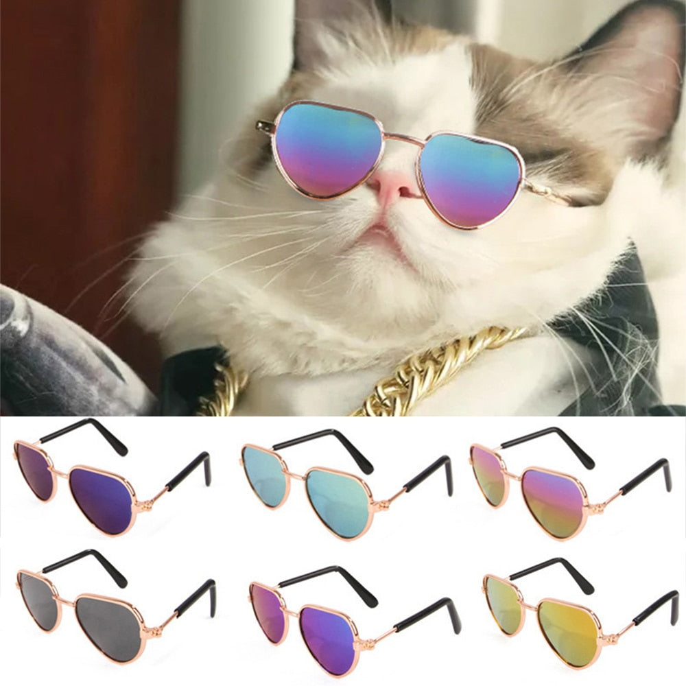 Sunglasses with drop-shaped colored lenses. Glasses for dogs, cats and pets.