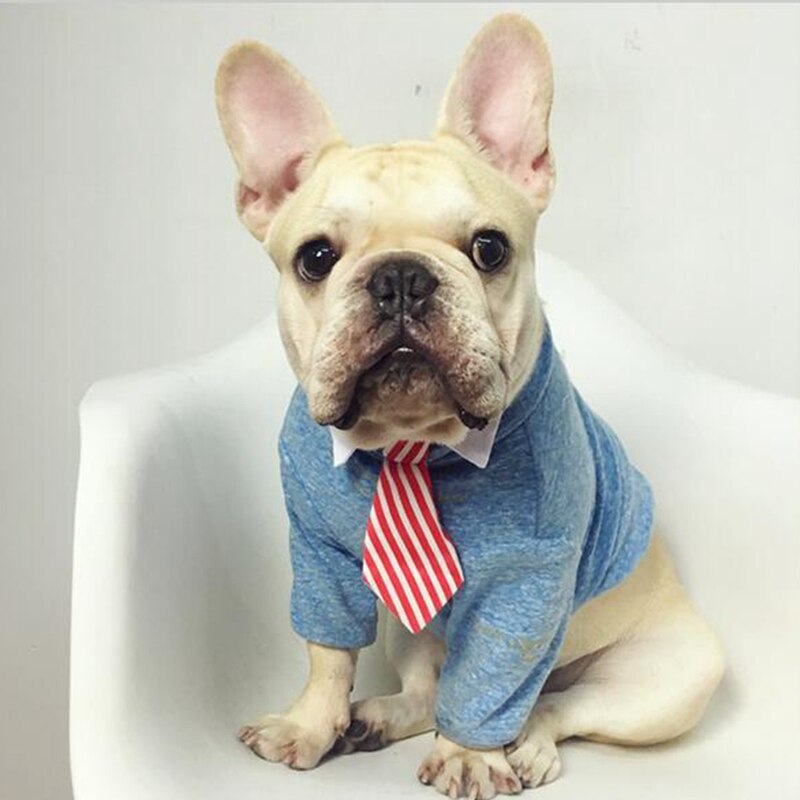 White collar with beautiful tie for dogs, cats and pets