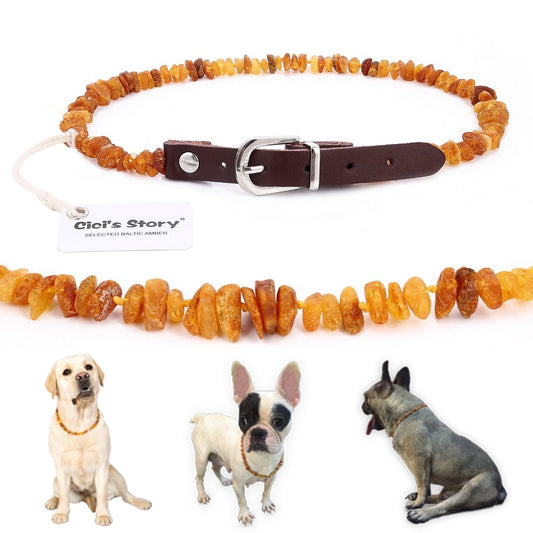 Baltic amber flea and tick collar with adjustable leather strap for cats and dogs - laboratory tested. Luxury chic accessories and clothing for dogs, cats and pets.