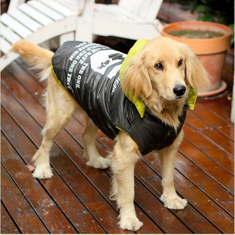 Padded jacket in cotton, colored raincoat for large dogs. Ideal for Labradors, Golden Retrievers, German Shepherds and Huskies.