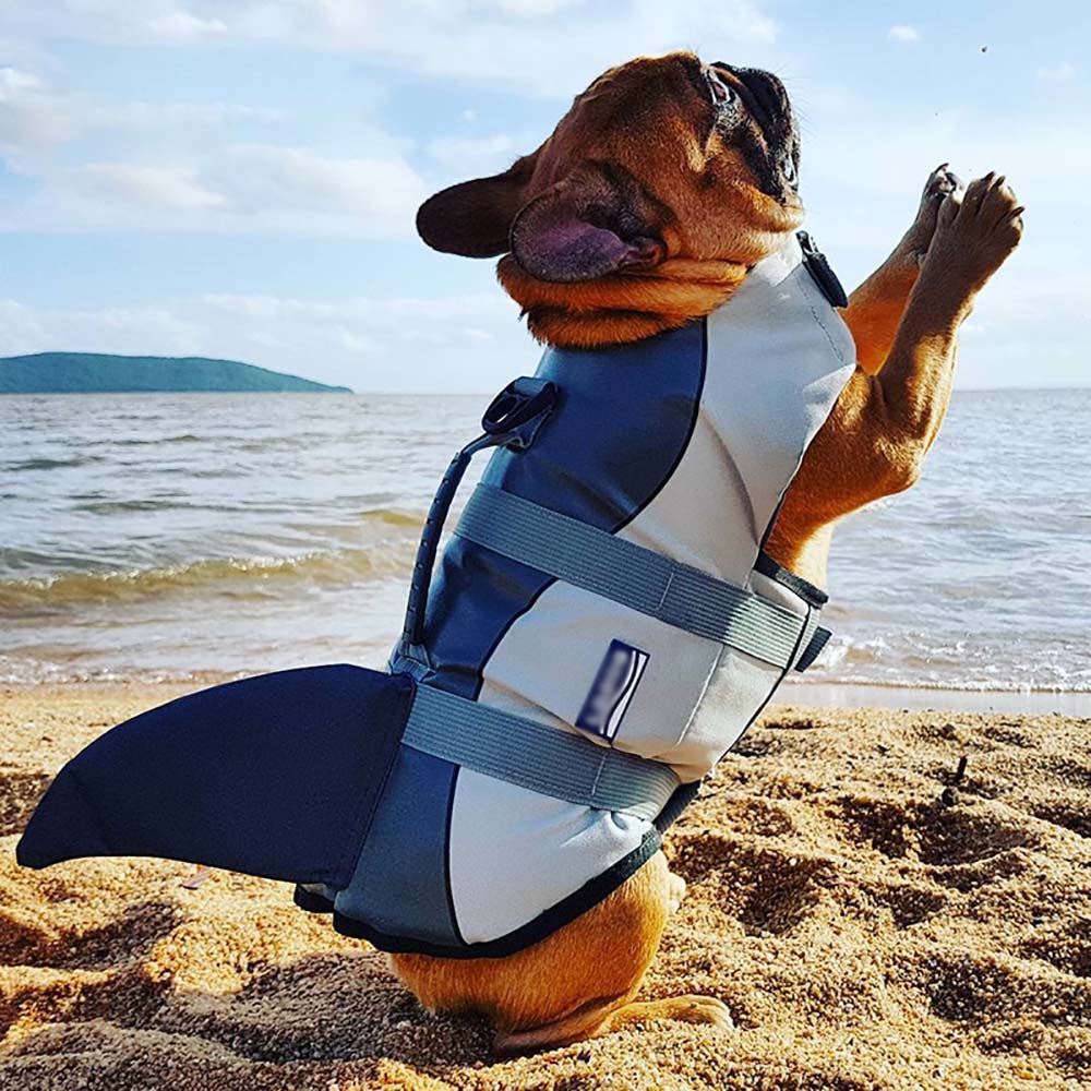 Life jacket / float to keep it safe even on the high seas !!! For dogs, cats and pets.