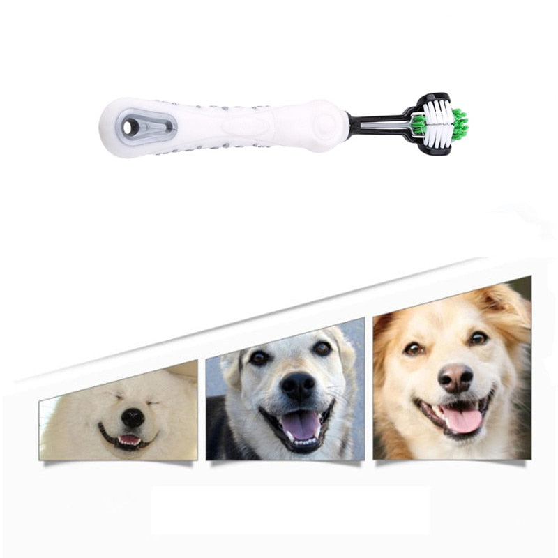 Toothbrush with three heads, finally a deeper oral hygiene! Pet toothbrush.