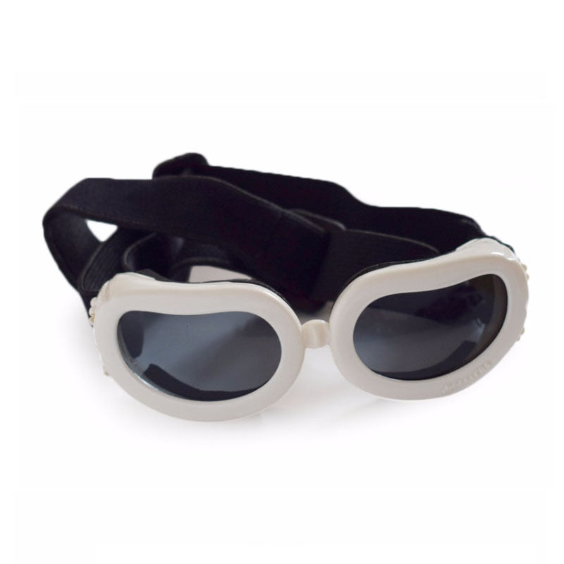 Windproof, waterproof, UVA - UVB rays adjustable sunglasses. Luxury chic accessories and clothing for dogs, cats and pets.