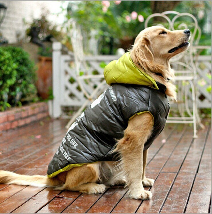 Golden cheap retriever raincoat