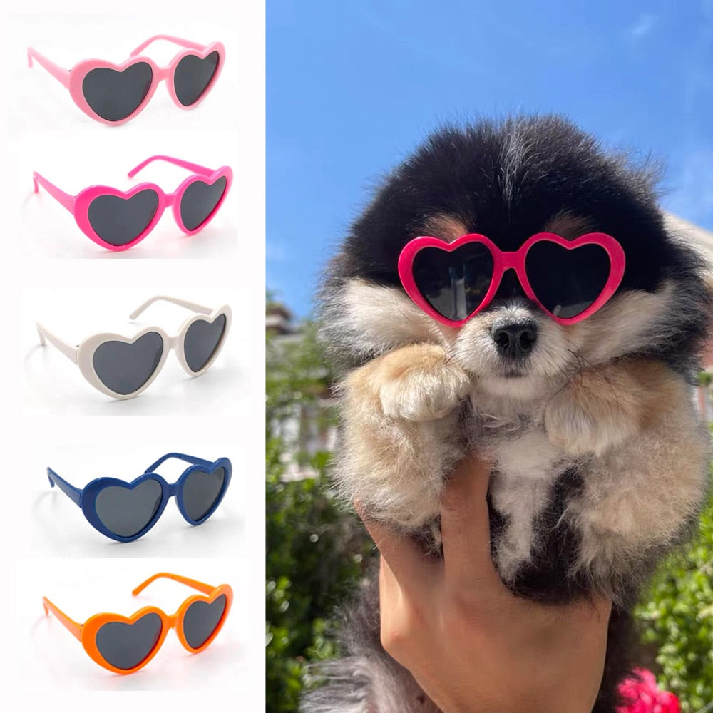 Meravigliosi occhiali da sole con lenti a forma di cuore. Accessori e abbigliamento chic di lusso per cani, gatti e animali domestici.