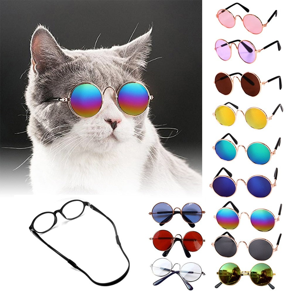 New 2021! Beautiful colored sunglasses for dogs, cats and small animals. For a crazy look!