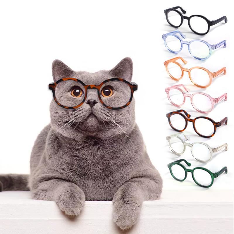 Eleganti Occhiali in Plastica Trasparente per avere l'aria da intellettuale. Accessori e abbigliamento chic di lusso per cani, gatti e animali domestici.