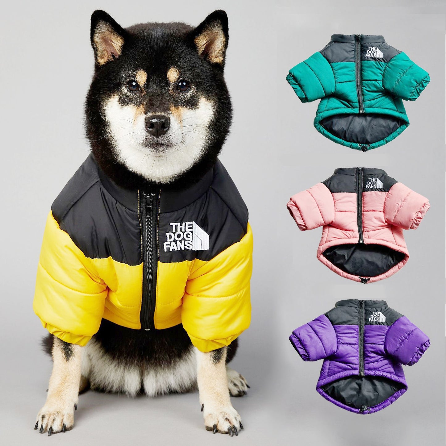 Warm and colorful reflective waterproof down jacket. Luxury chic winter clothing for your pet.