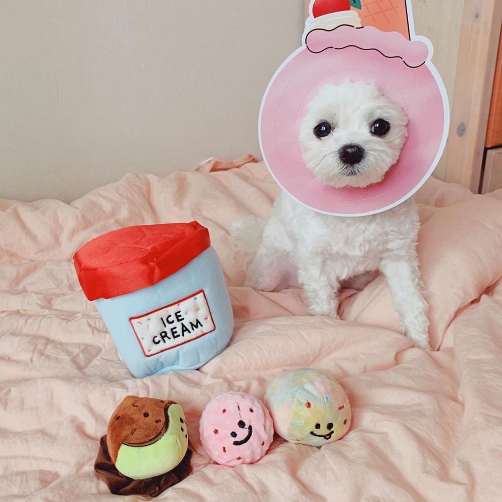 New game for your Pet! Bucket of ice cream with different flavors inside! Game for dogs, cats and pets.