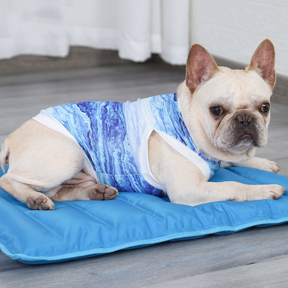 Prevent heatstroke with the body cooling jersey for your sweetheart. Luxury chic accessories and clothing for dogs, cats and pets.