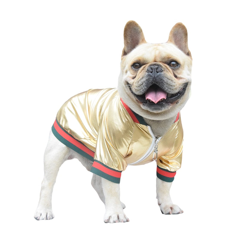 Luxury design Bomber laminated in silver or gold. For dogs, cats and pets.