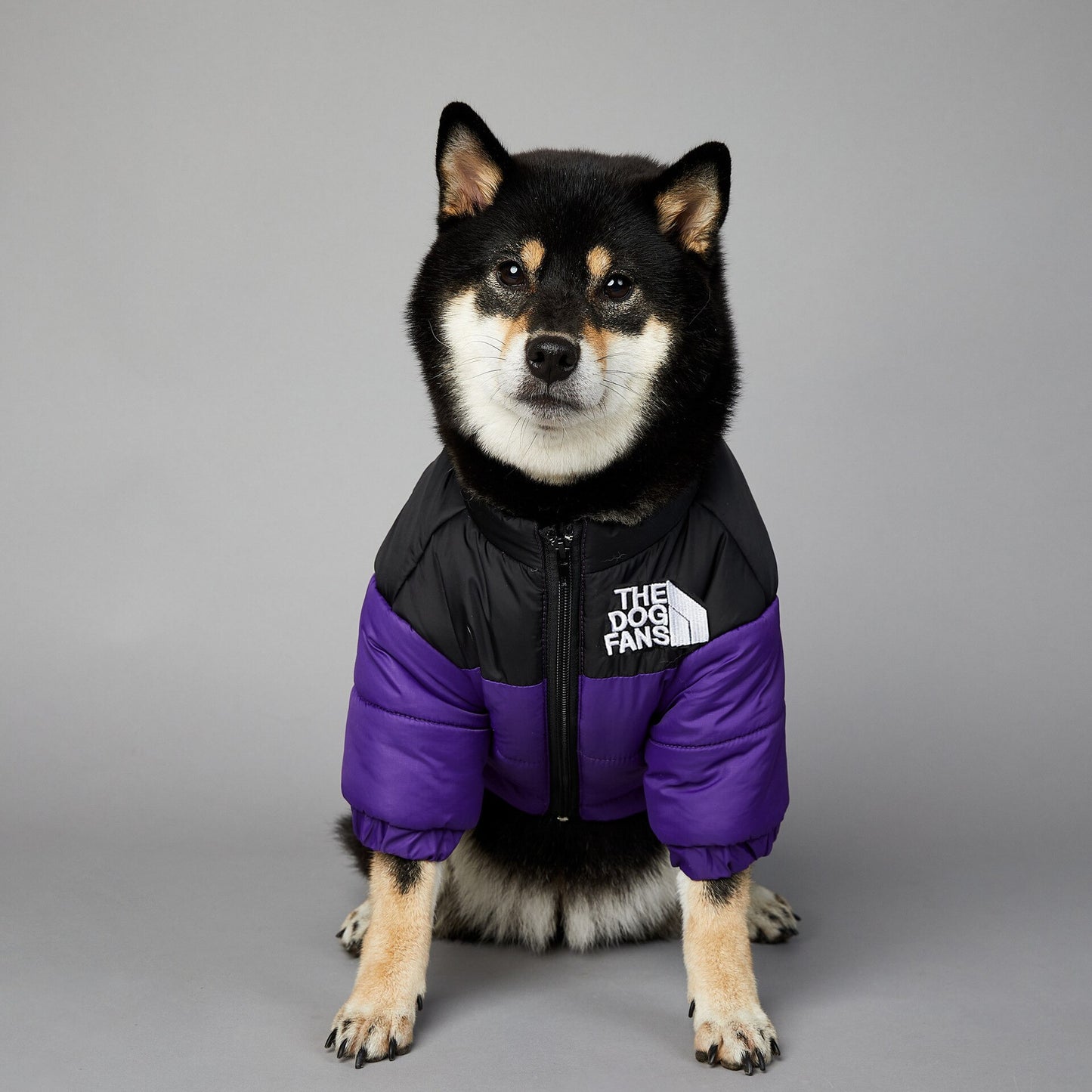 Warm and colorful reflective waterproof down jacket. Luxury chic winter clothing for your pet.