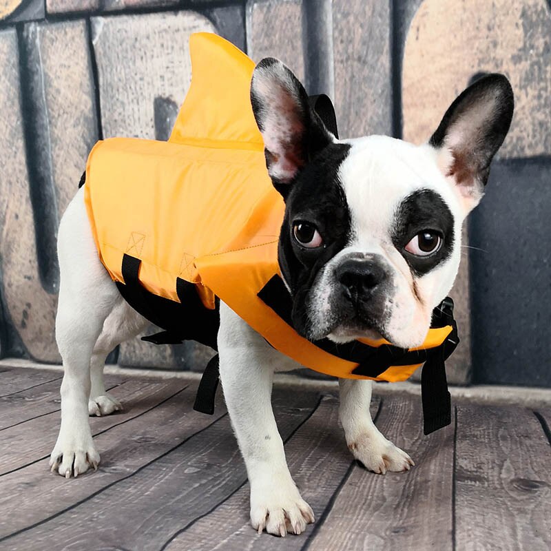 Shark life jacket to keep your treasure safe during boat trips, to the sea and to the lake. Luxury chic accessories and clothing for dogs, cats and pets.