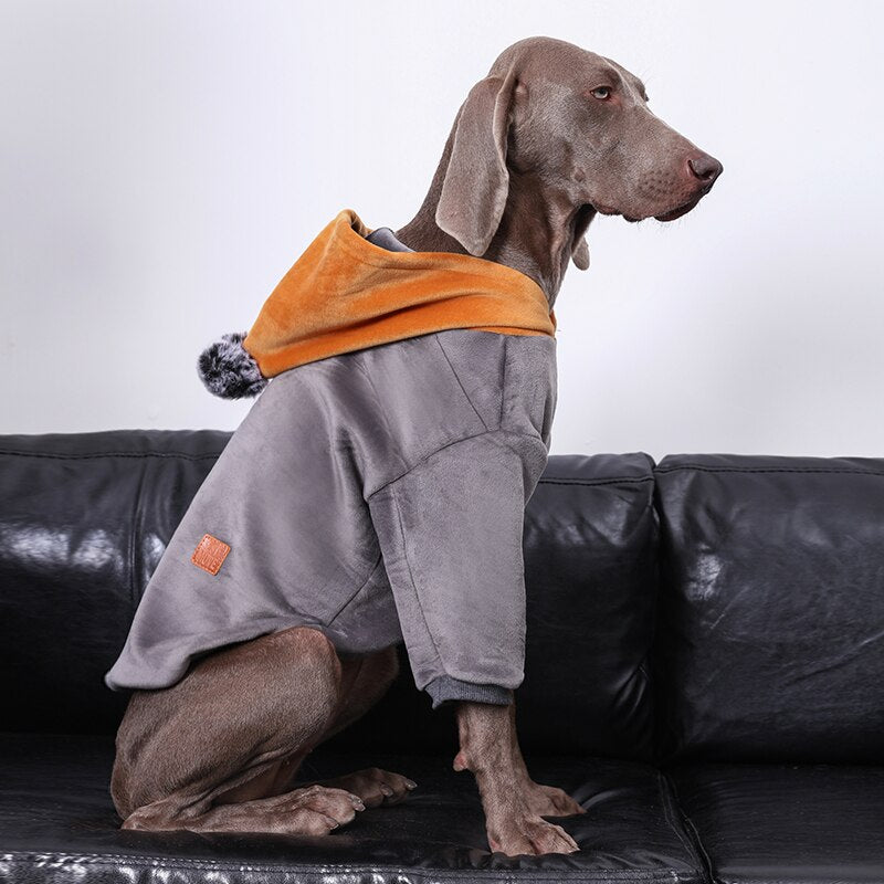 Hooded sweatshirt for large dogs in warm and winter suede. Luxury chic clothing for large dogs.