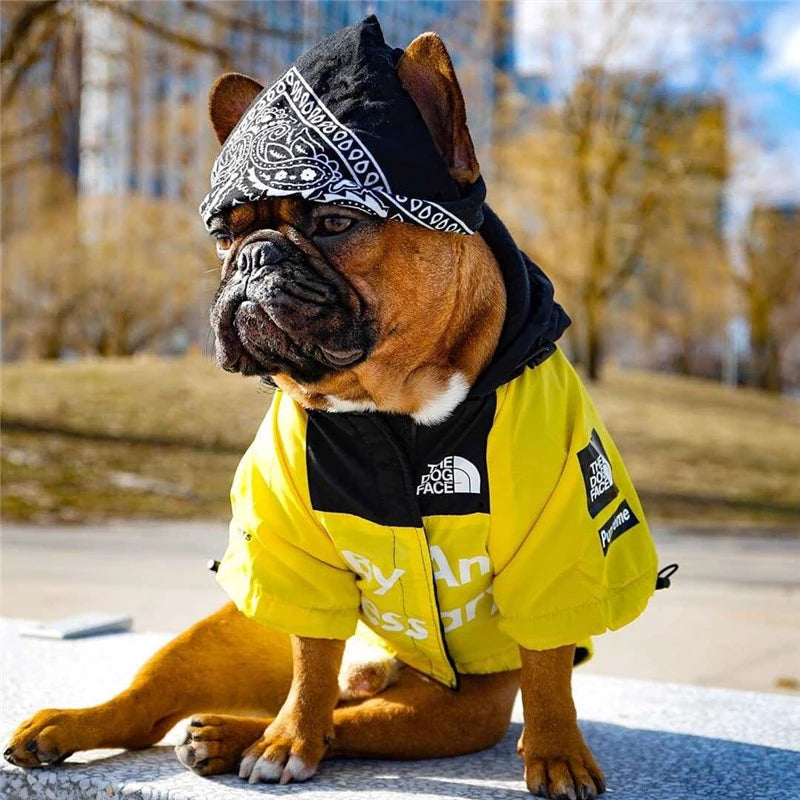 Dog 2024 face windbreaker