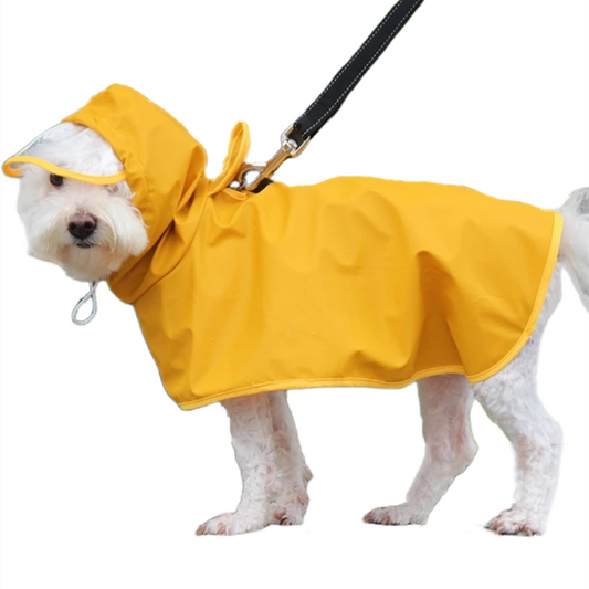 Waterproof Beautiful for small dogs, medium and large size.