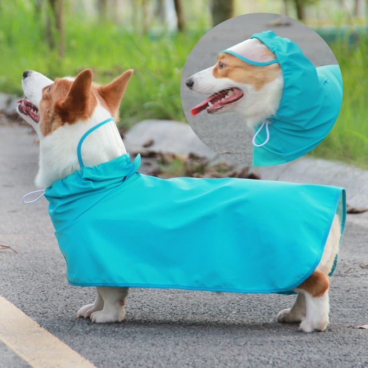 Waterproof Beautiful for small dogs, medium and large size.
