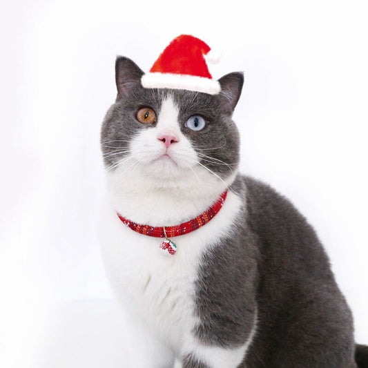 Collarino di Natale con pendente per piccoli cani, gatti e animali domestici.