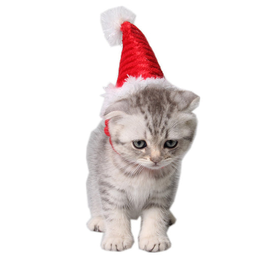 Cappello rosso natalizio con bordo di ecopelliccia e con cinghie di flanella. Accessori chic di lusso per cani, gatti e animali domestici.