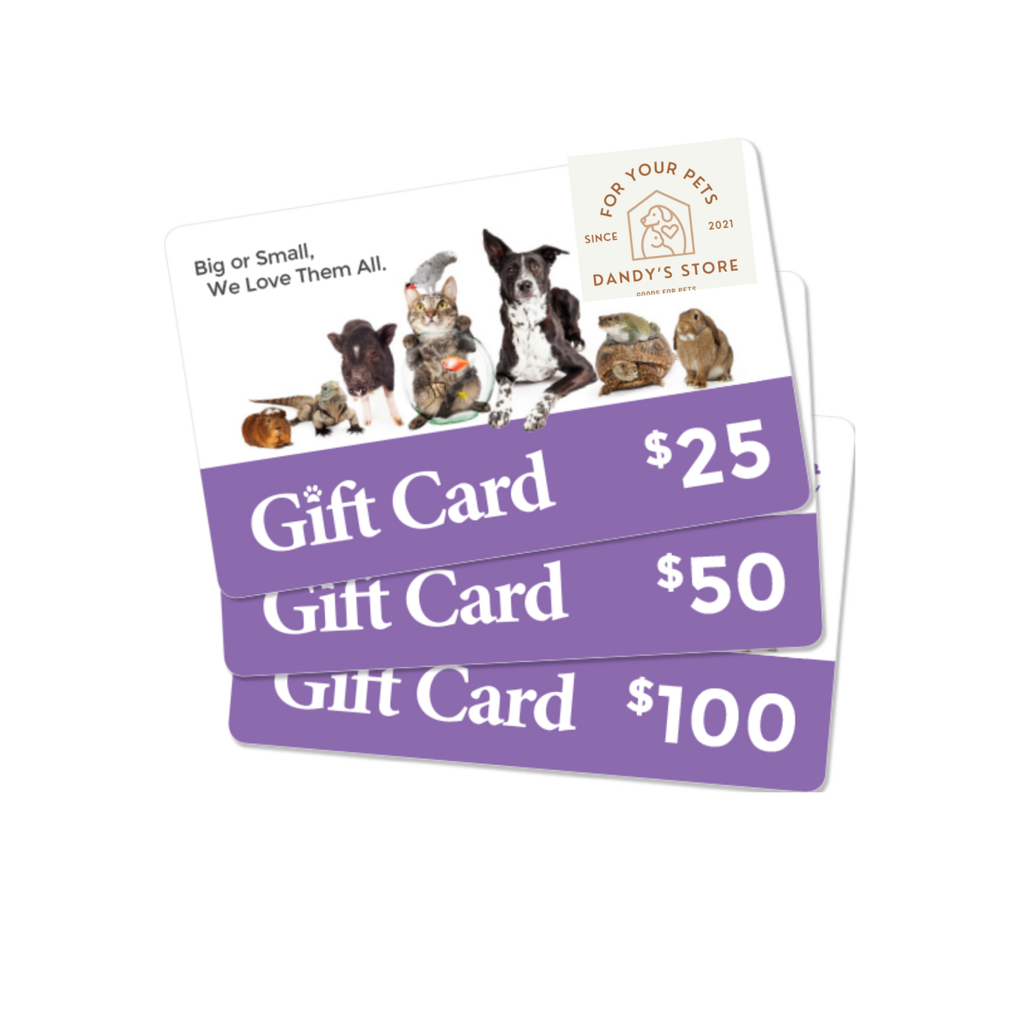 Dandy's Store GIFT CARD - Carta Regalo